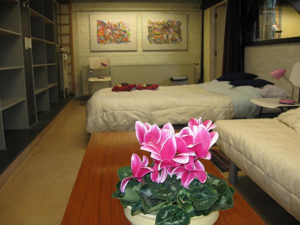 B&B De TurffabriekGriendtsveen 部屋 写真